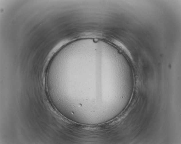 X0000083011419200702231800