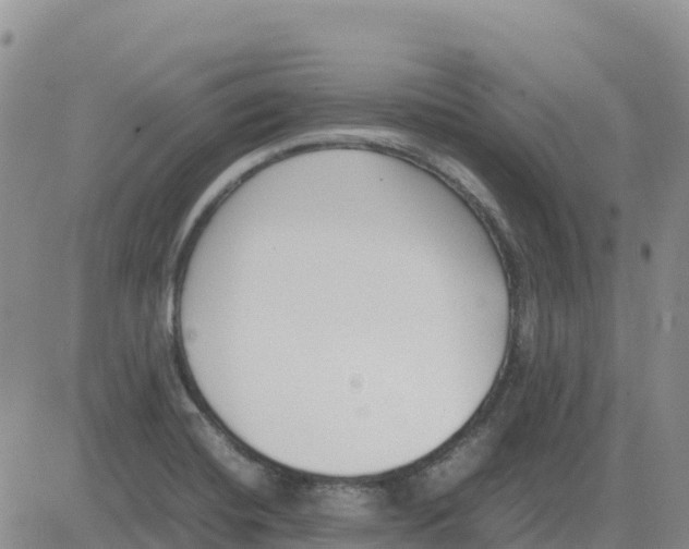 X0000083011420200702231800