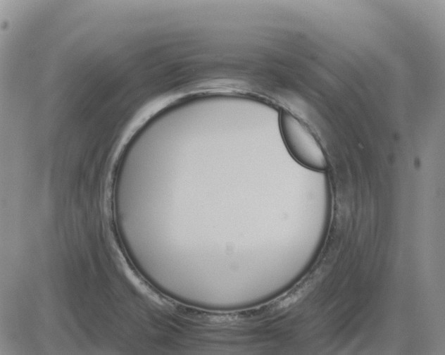 X0000083011421200702231800