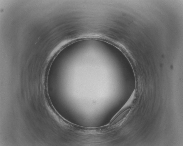 X0000083011422200702231800