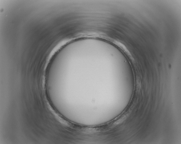 X0000083011424200702231800