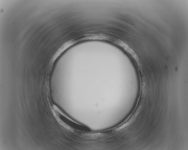 X0000083011425200702231800