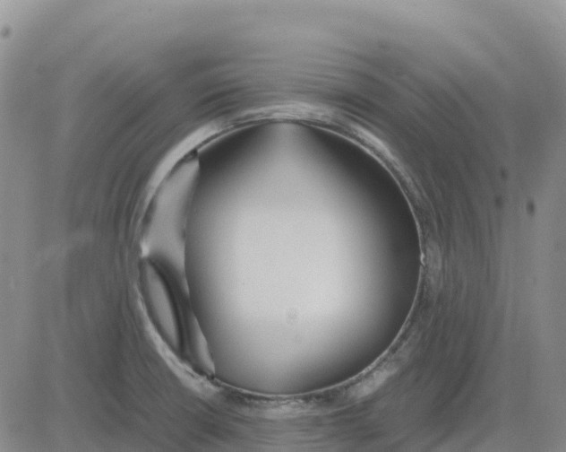 X0000083011426200702231800