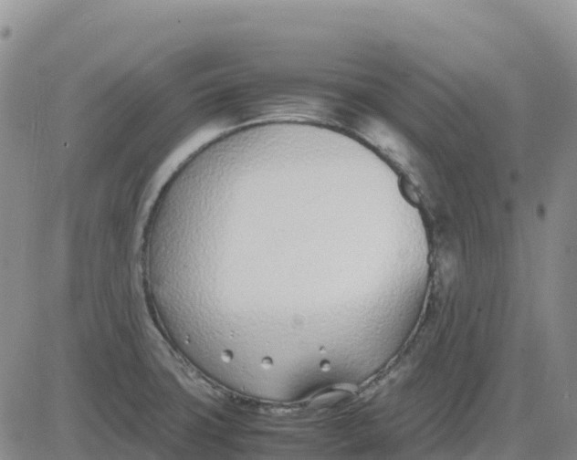 X0000083011427200702231800