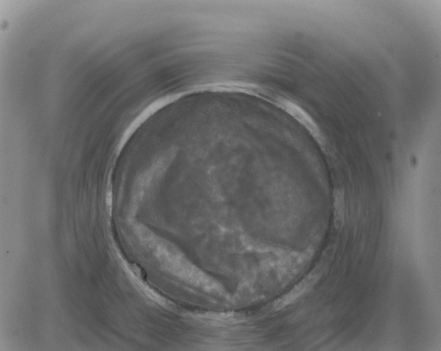 X0000083011428200702231800