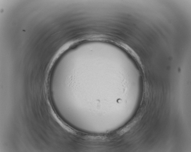 X0000083011429200702231800