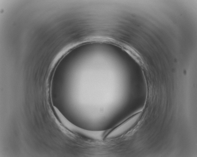 X0000083011430200702231800