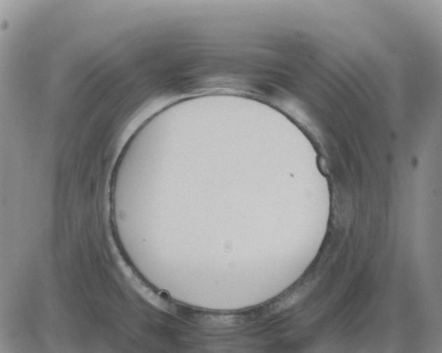 X0000083011431200702231801