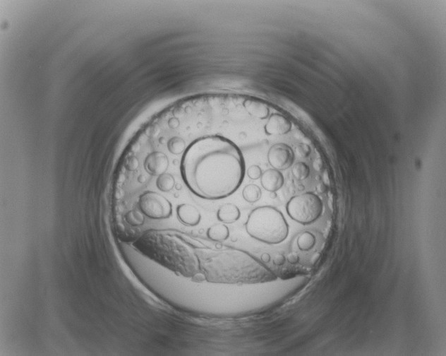 X0000083011432200702231801