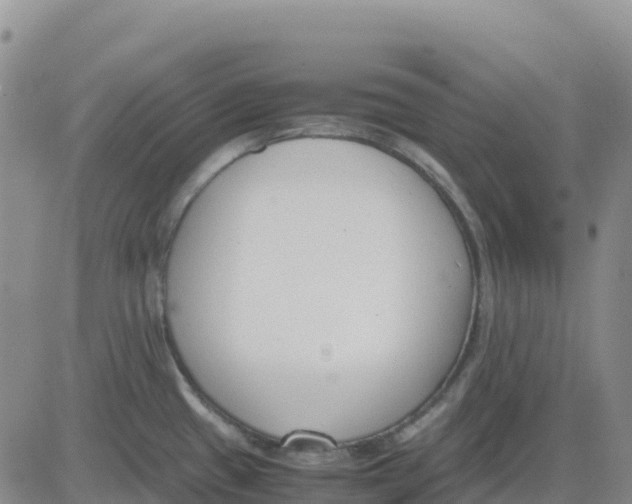 X0000083011433200702231801