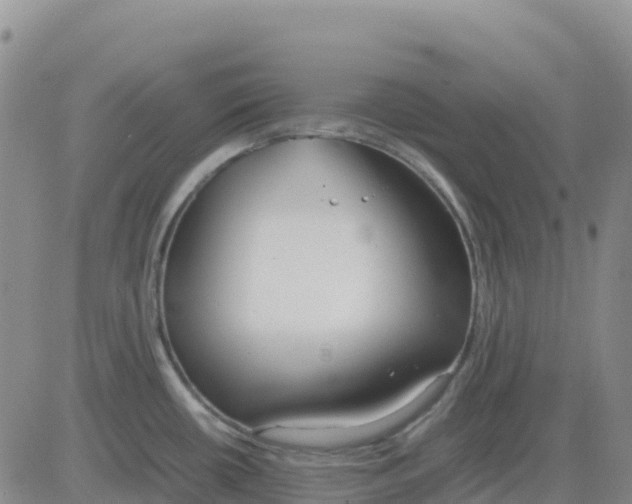 X0000083011434200702231801