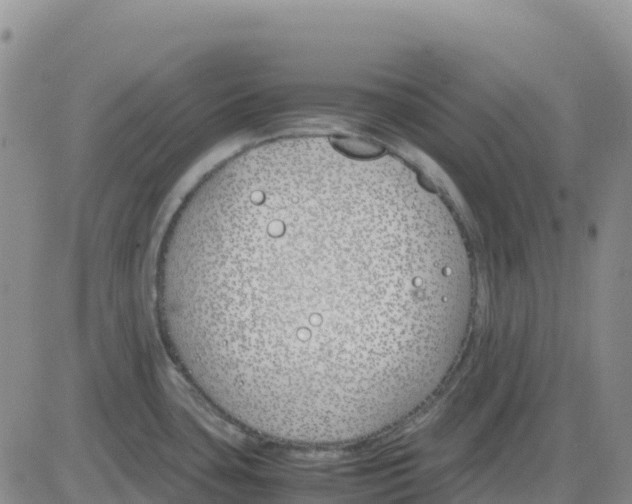 X0000083011435200702231801