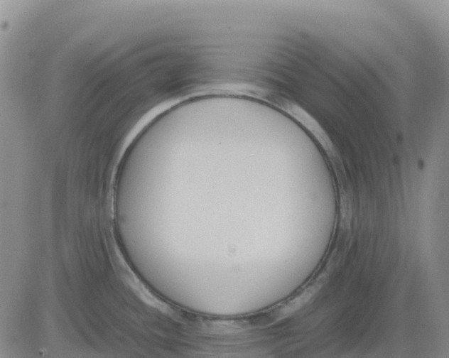 X0000083011436200702231801