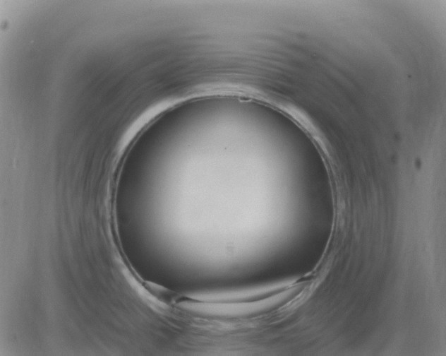 X0000083011438200702231801