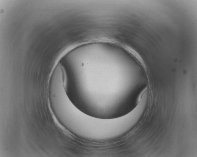 X0000083011439200702231801