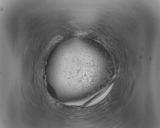 X0000083011441200702231800