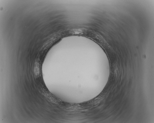 X0000083011442200702231800