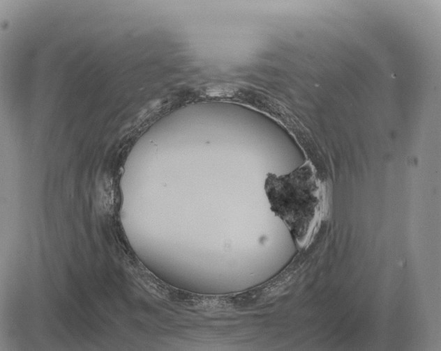 X0000083011443200702231800