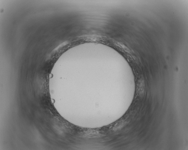 X0000083011446200702231800