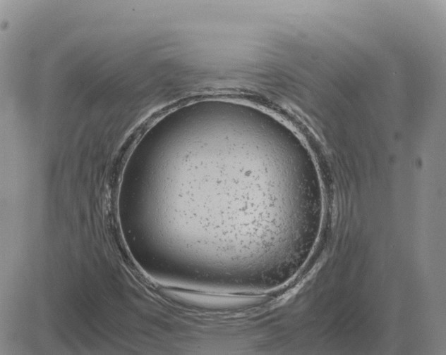 X0000083011449200702231800