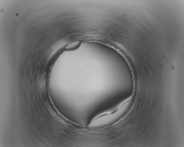 X0000083011450200702231800