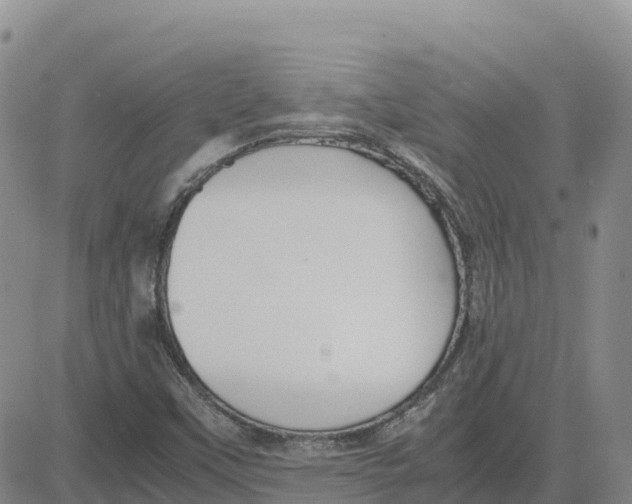 X0000083011451200702231800