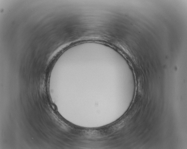 X0000083011452200702231800