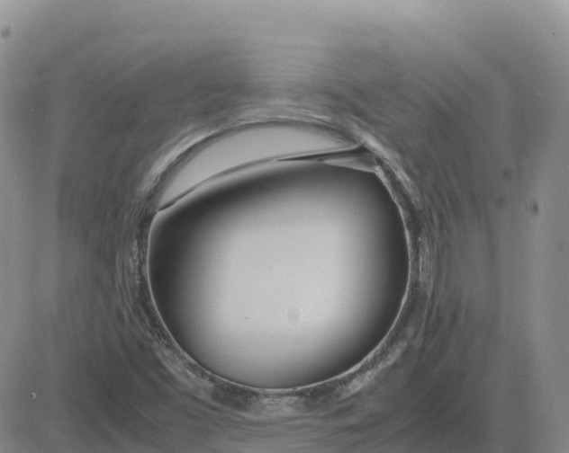 X0000083011453200702231800