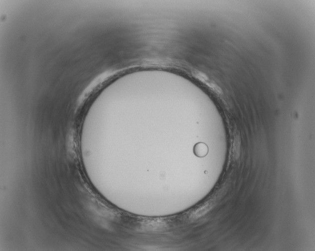 X0000083011454200702231800