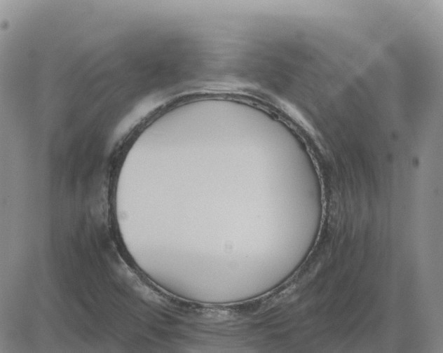 X0000083011456200702231800