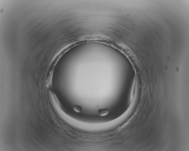 X0000083011457200702231800