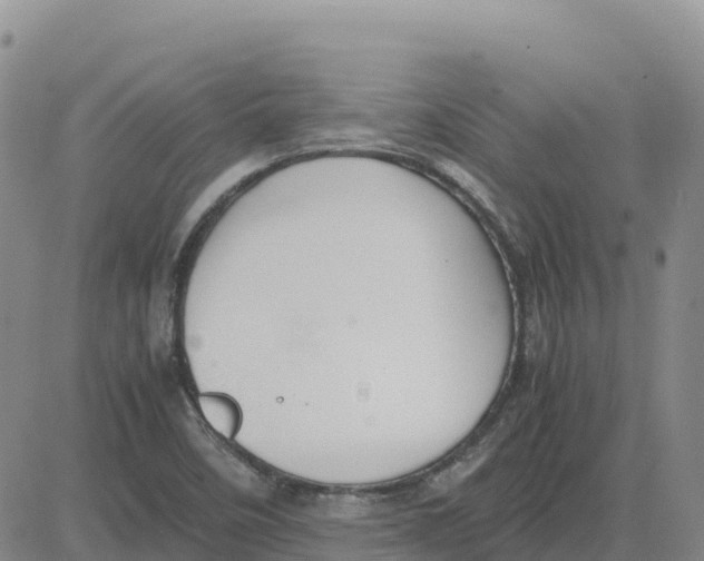 X0000083011458200702231800