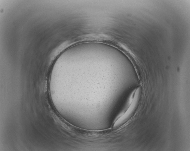 X0000083011459200702231800