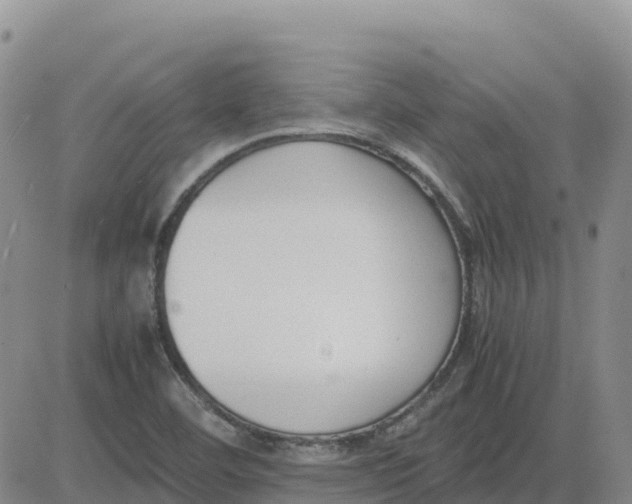 X0000083011460200702231759