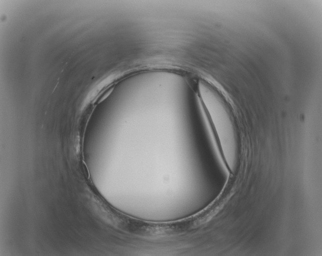 X0000083011461200702231759