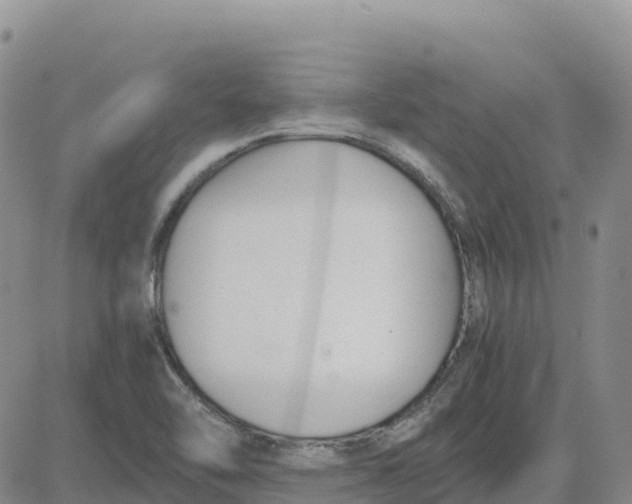 X0000083011462200702231759