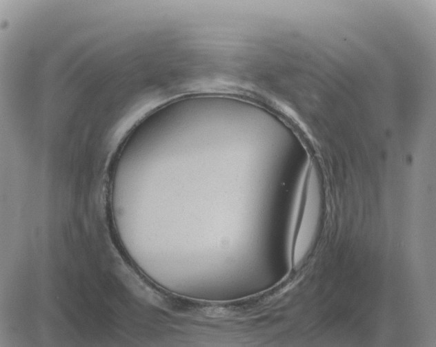 X0000083011463200702231759