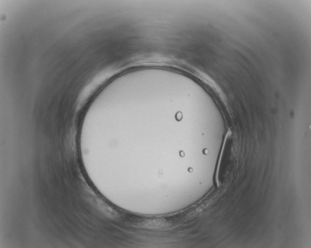 X0000083011464200702231759