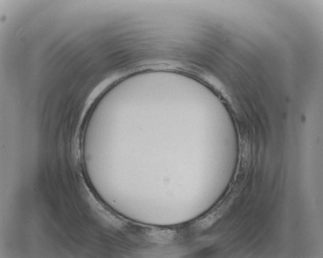 X0000083011466200702231759