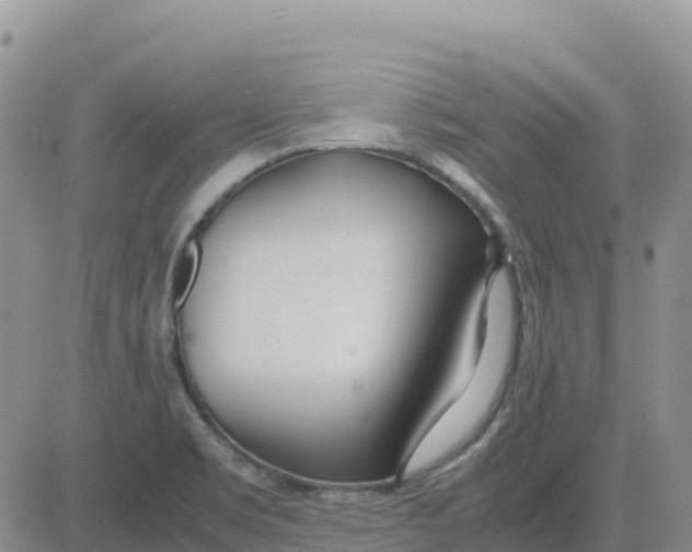 X0000083011469200702231759