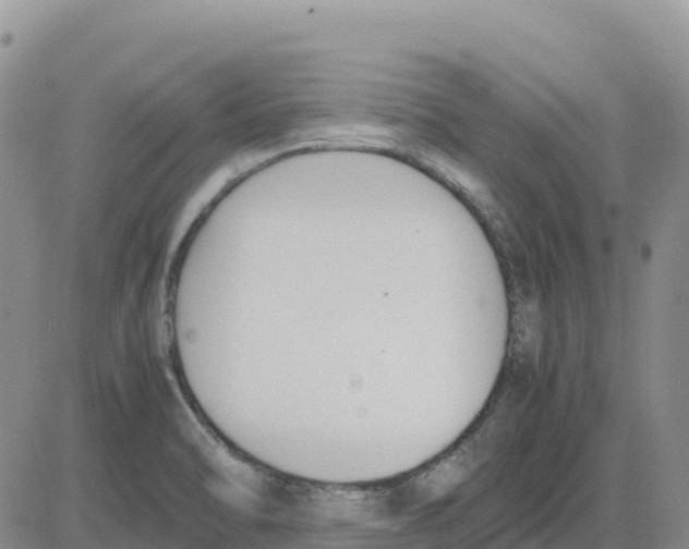 X0000083011470200702231759