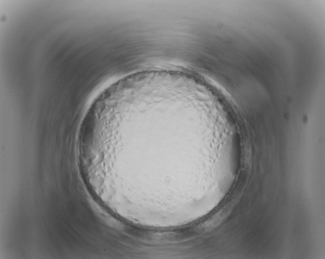 X0000083011471200702231759