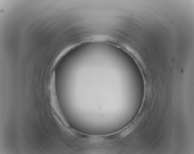 X0000083011473200702231759