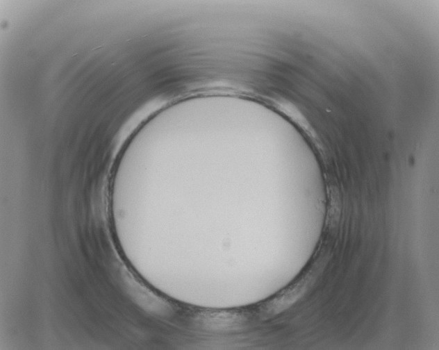 X0000083011474200702231759