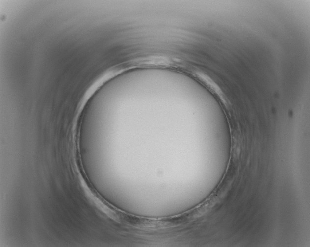 X0000083011475200702231759