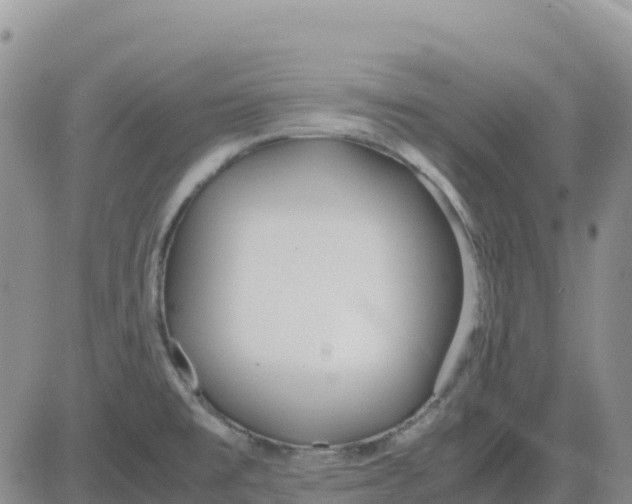 X0000083011477200702231759