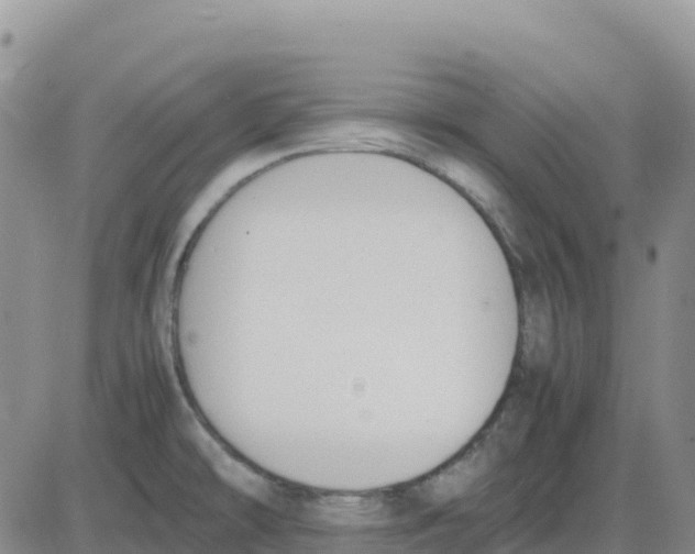 X0000083011478200702231759