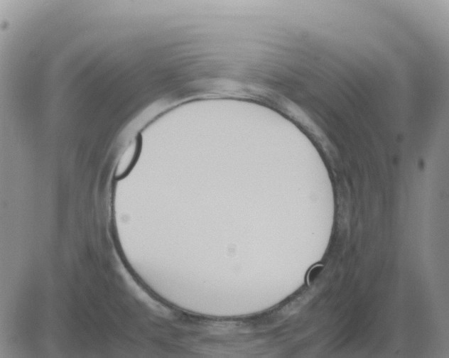 X0000083011479200702231759