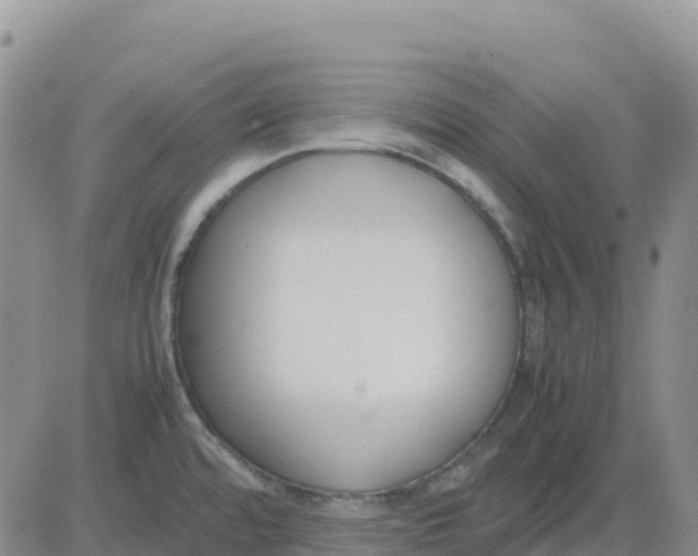 X0000083011480200702231759