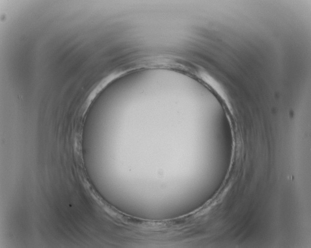 X0000083011481200702231759